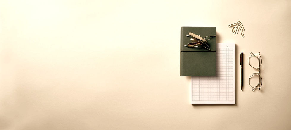 Personal Diary_edited.jpg