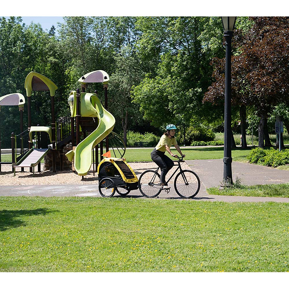 Thumbnail: Bee Bike Trailer Single