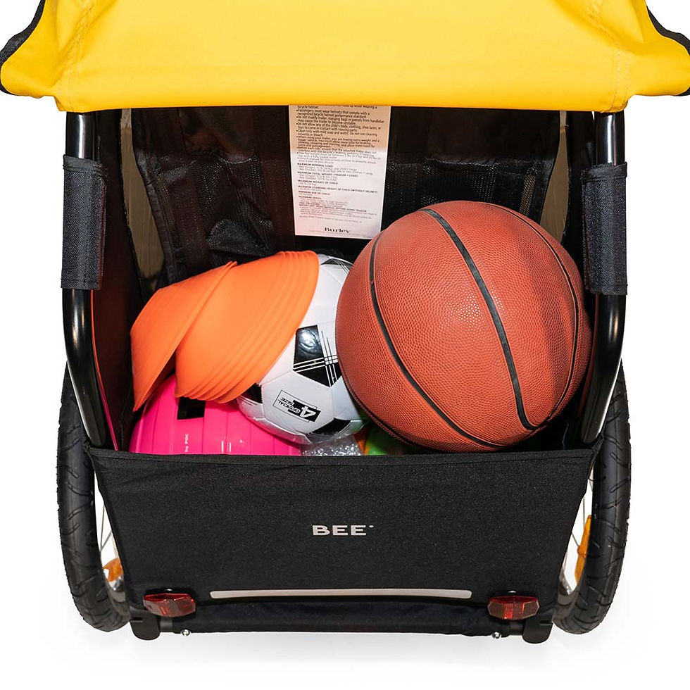 Thumbnail: Bee Bike Trailer Single