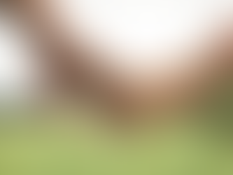 Finding Intimacy with a New Partner After Loss