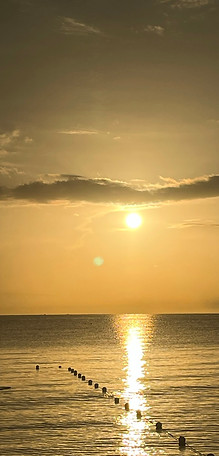 81BE006C-4F4A-428C-A746-8100D384A612_1_105_c.jpeg