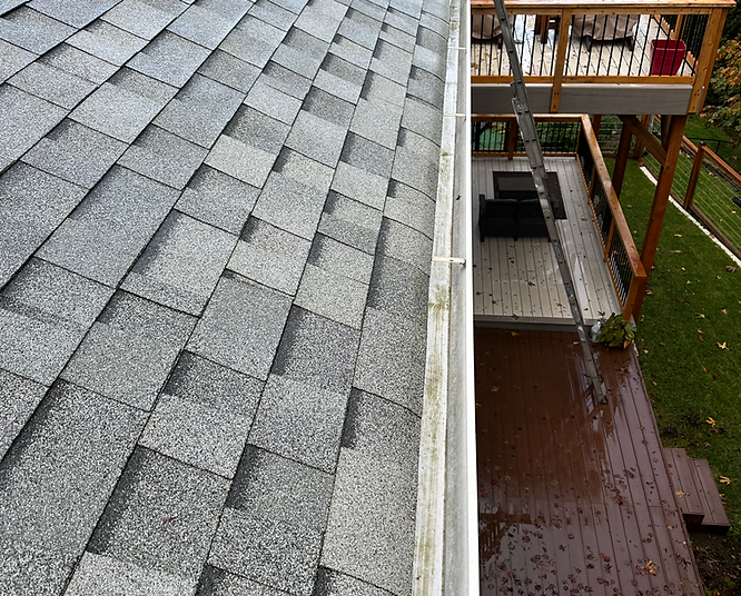 gutter cleaning socal