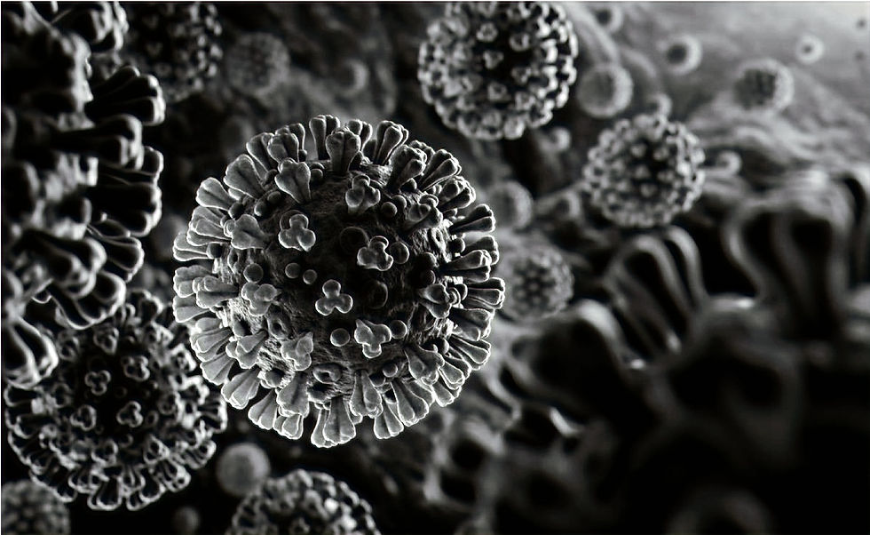 Captura%2520de%2520pantalla%25202021-05-