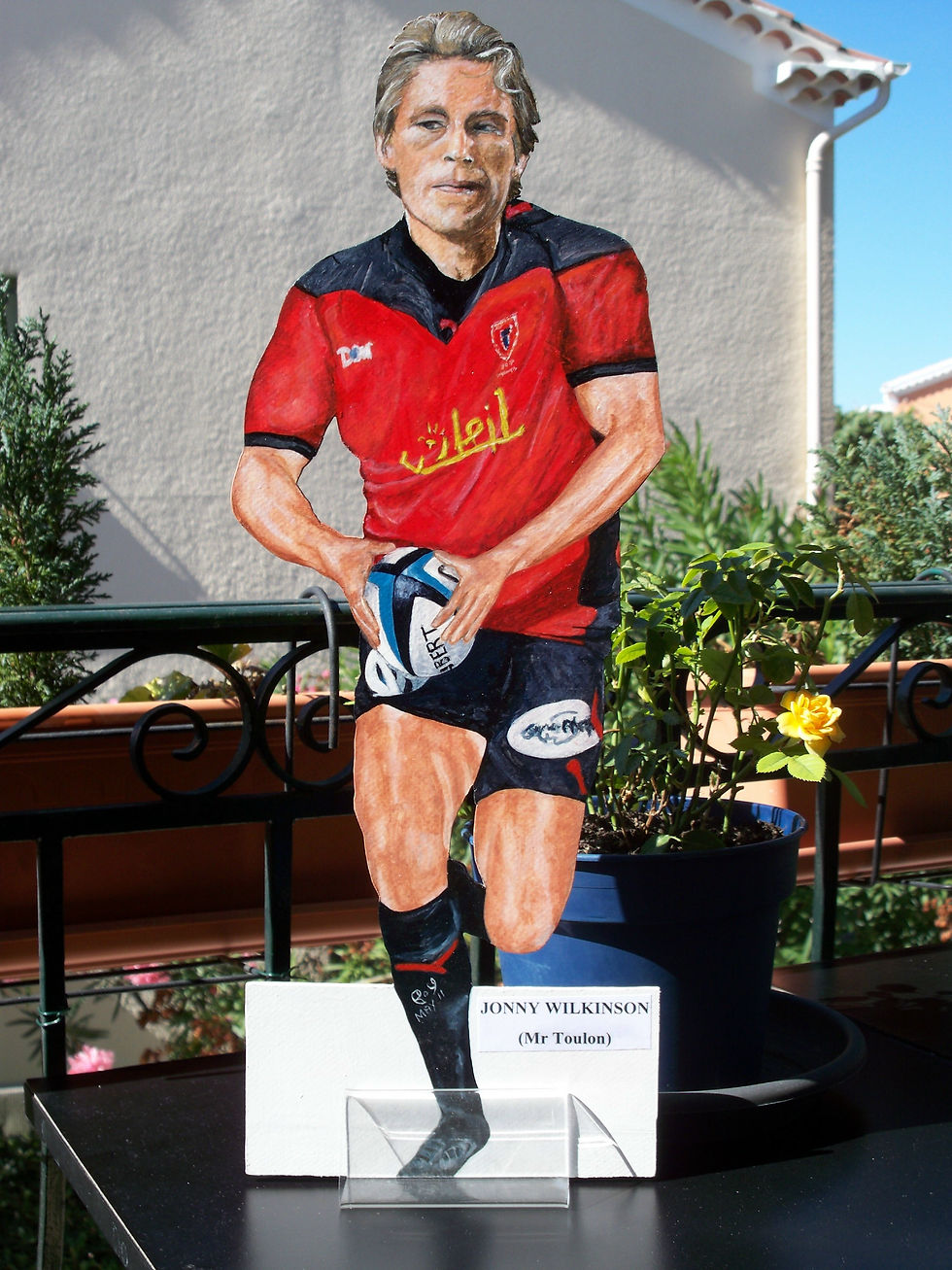 Jonny Wilkinson (Toulon Strip)