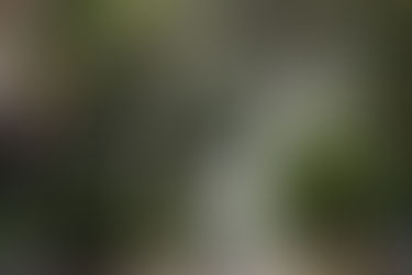 Em 2020, Semana Oficial da Engenharia e Agronomia será em Goiânia