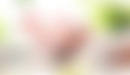 Receita Federal adia entrega do IR