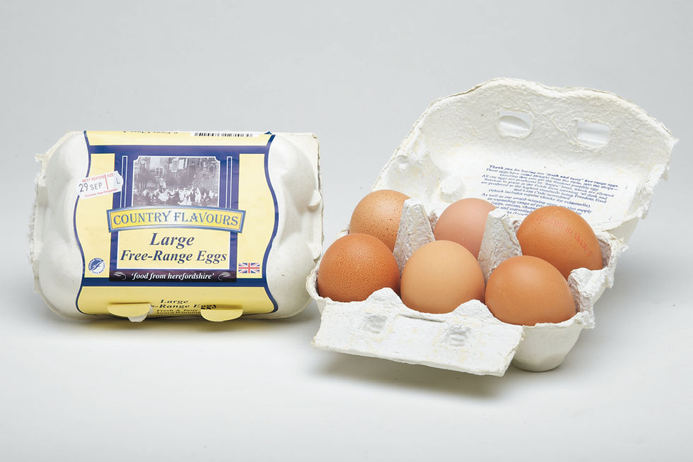 Large Free Range Eggs