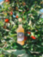 Country Flavours Apple Juice - Falstaff Small