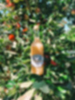 Country Flavours Apple Juice - Katy