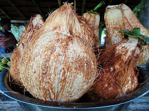 kokoda trail, kokoda track, papua new guinea, jungle, hike, trek, coconut, market