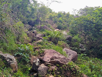 Hong Kong, trail, mountain, hiking, view