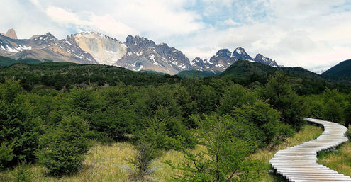 chile, Patagonia, torres del paine, national park, hike, trek, mountain, O trek, boardwalk