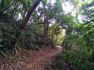 hong kong, trail, mountain, hiking, view, yuen tsuen ancient trail