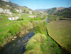 duoro rail trail, porto, portugal