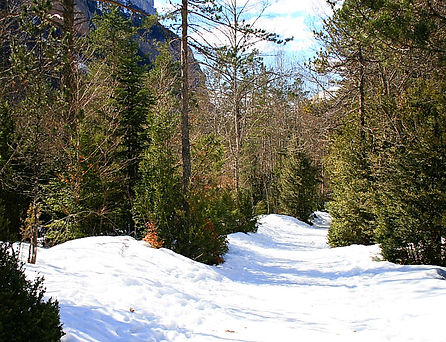 snow, ordesa, pyrenees, spain