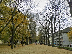 Bonn, autumn, germany