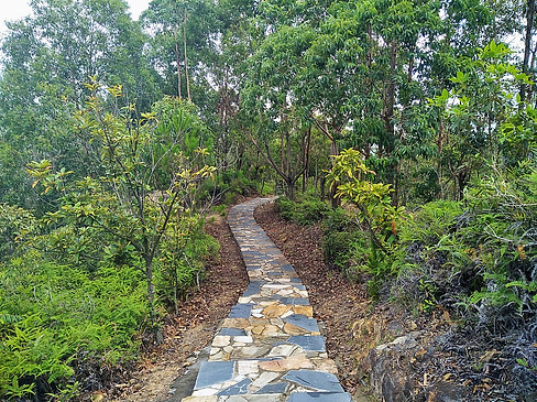 hong kong, trail, mountain, hiking, island
