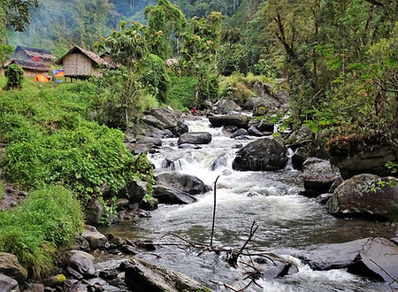 kokoda, trail, trak, papua new guinea, forest, jungle, mountain, hike, trek, river, templeton's crossing 2