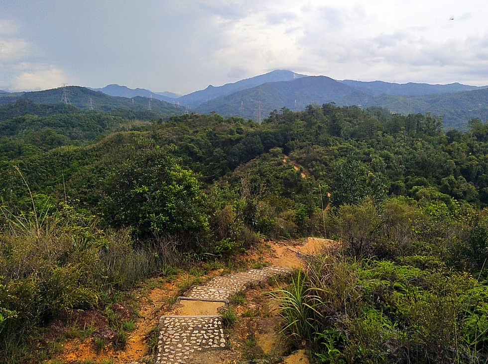hong kong, trail, mountain, hiking, view, island, city, buildings