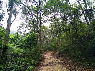 hong kong, trail, mountain, hiking, view, yuen tsuen ancient trail