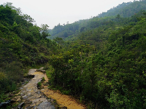 hong kong, trail, mountain, hiking, view, yuen tsuen ancient trail