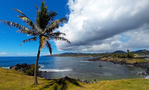 Chile, easter island, rapa nui, isla de pascua, coast, ocean, water, palm tree