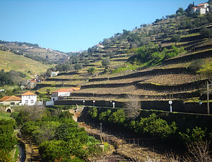 duoro rail trail, porto, portugal
