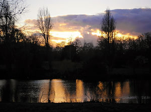 Hyde park, london, england, sunset