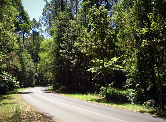 Dandenong Ranges australia