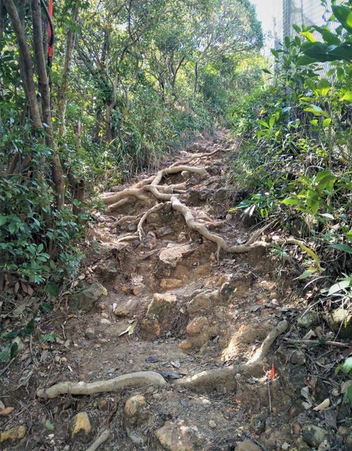 Ap Lei Pai
Mt Johnston
Hong Kong