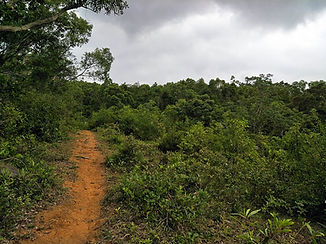 Hong Kong, trail, mountain, hiking, view