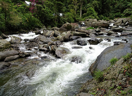 kokoda, trail, trak, papua new guinea, forest, jungle, mountain, hike, trek, river