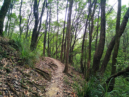 hong kong, trail, mountain, hiking, view, yuen tsuen ancient trail