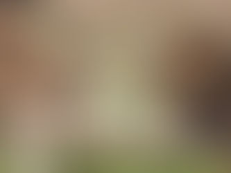 It's a yawn. It's a stretch. No! It's... pandiculation??