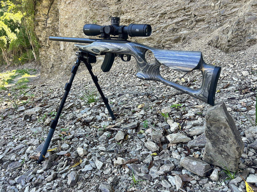 Mini-Rifle Field shoot