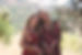 IMG_8434.jpeg