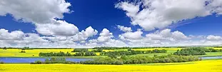 prairie-panorama-saskatchewan-canada-16984640.webp