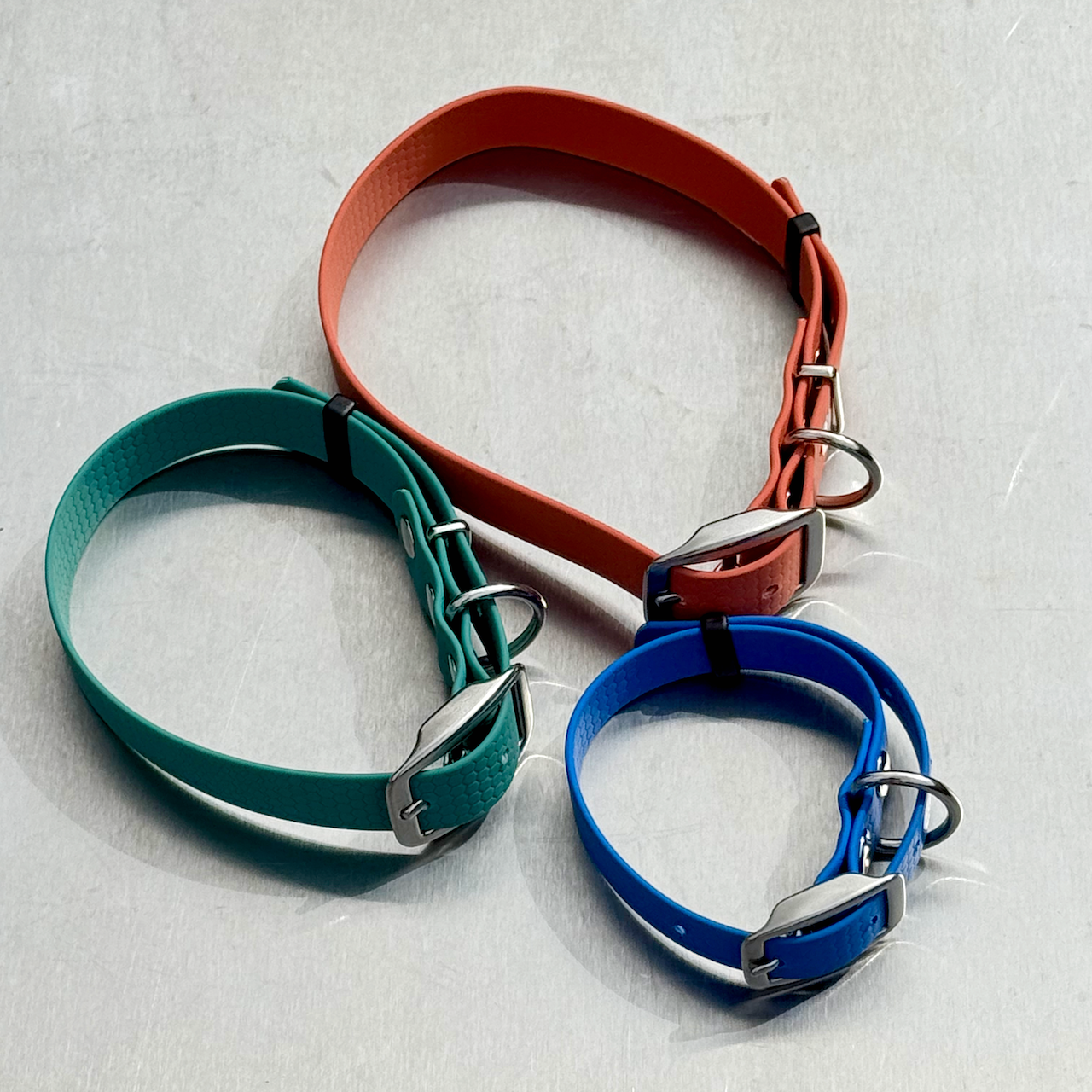 BDC range of Traditional Buckle Dog Collars