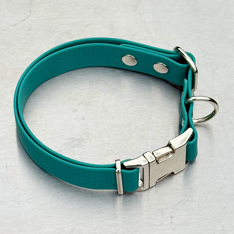 Metal Side Release Dog Collar