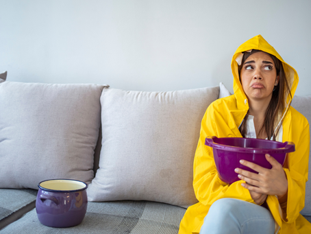 Real Estate Red Flags