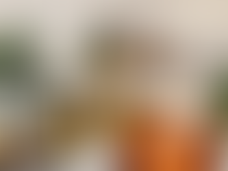 November Market Stats