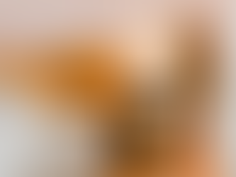 Prepping Your Home for Out of Town Guests