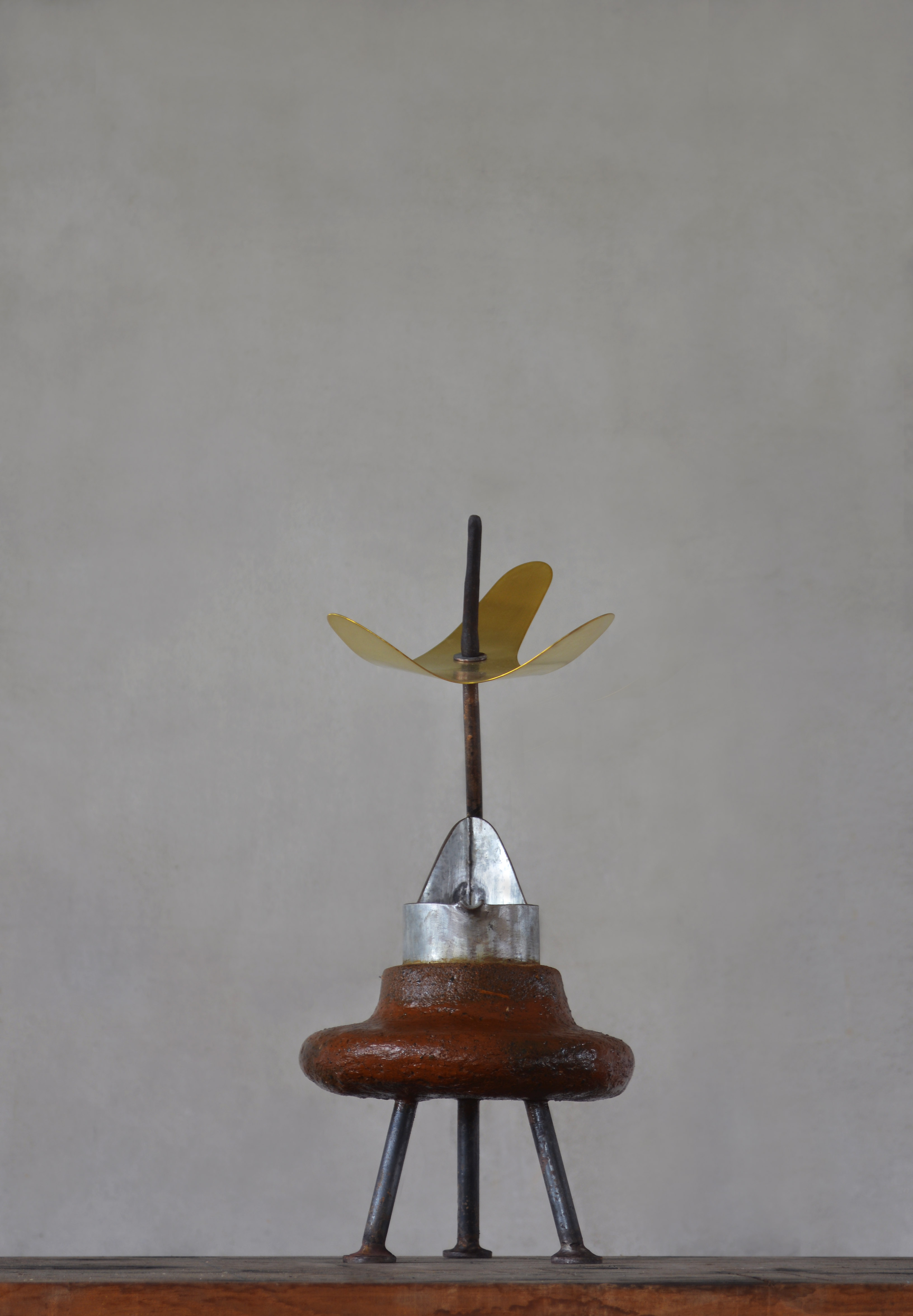 雀 / sparrow