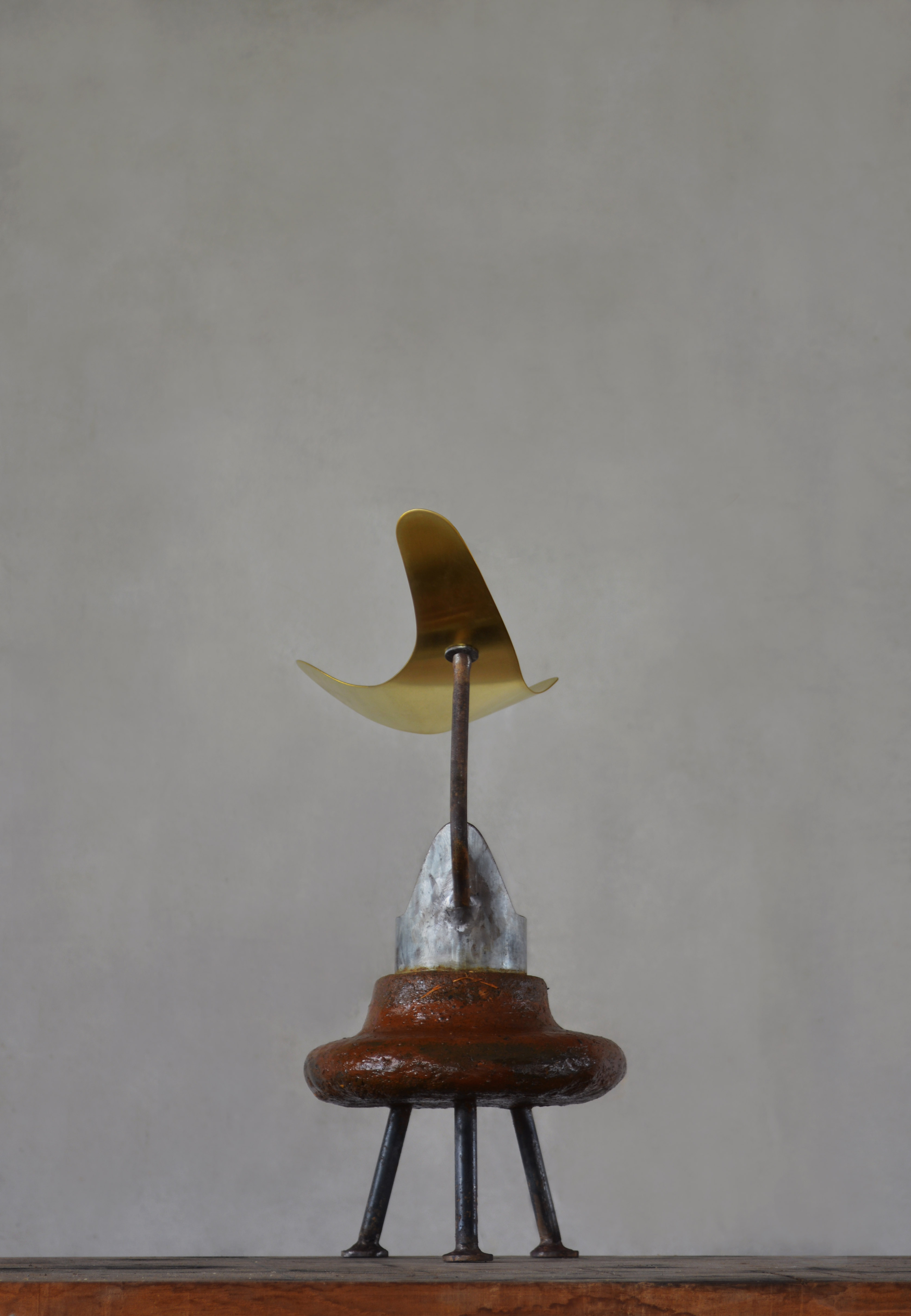 雀 / sparrow