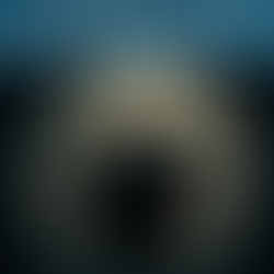 Rose Noire et pleine lune