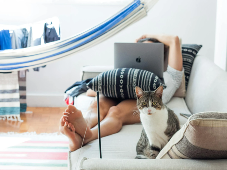 Why Your Meetings Stink—and What to Do About It