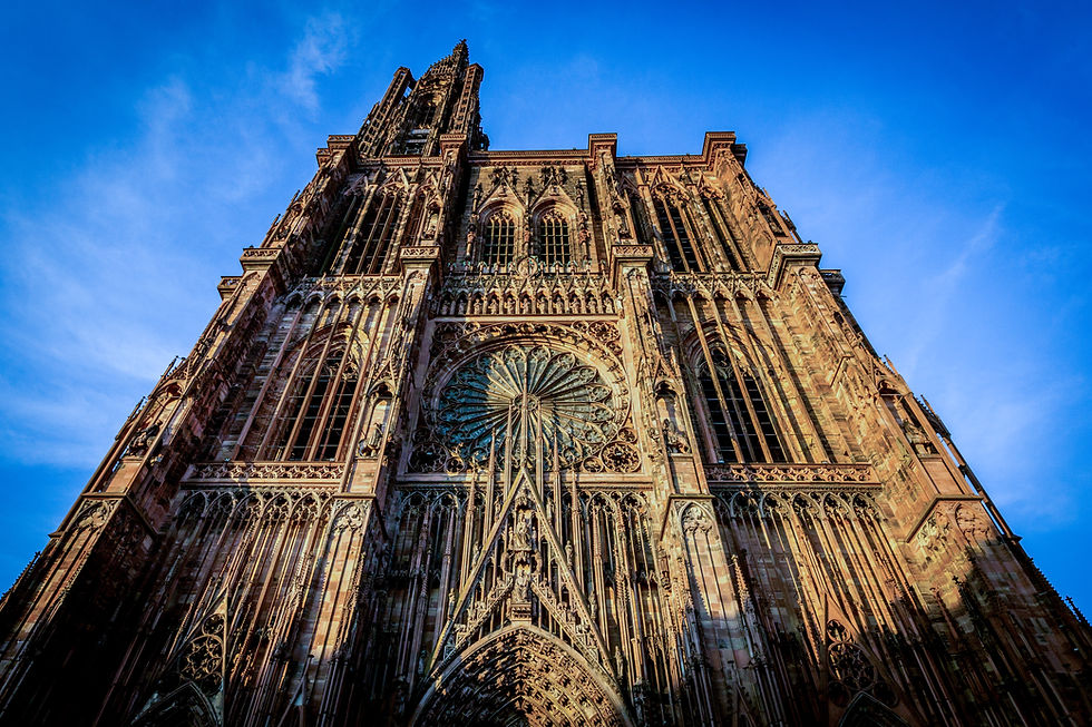 Séjour en Alsace : incontournables autour du Domaine de la Neumuehle