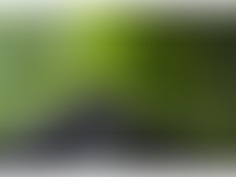 Symbolisme du hêtre - Confiance et Patience