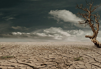 Crédito – Pixabay