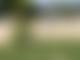 公園での一コマ③
